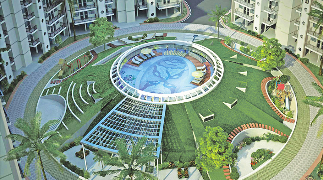 Orris Aster Court Premier