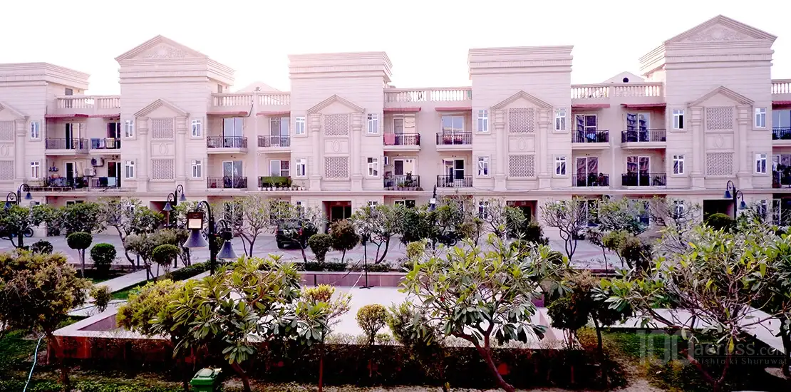 Signature Sunrise Premium Floors